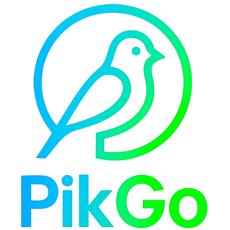Pikpalvelu
